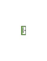Trinkflasche Eco