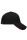 5 Panel Sandwich Cap TCE