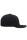 6 Panel Snapback Cap TCE