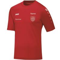 Trikot Team Kurzarm Kinder TSV 164 Ja Nein Nein