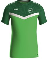 T-Shirt Iconic Grün Herren SC Ilsfeld